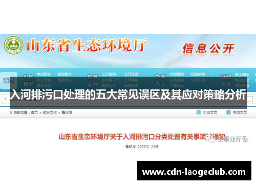 入河排污口处理的五大常见误区及其应对策略分析