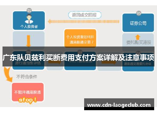 广东队贝兹利买断费用支付方案详解及注意事项