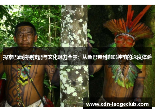 探索巴西独特技能与文化魅力全景：从桑巴舞到咖啡种植的深度体验