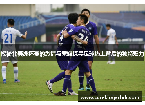 揭秘北美洲杯赛的激情与荣耀探寻足球热土背后的独特魅力