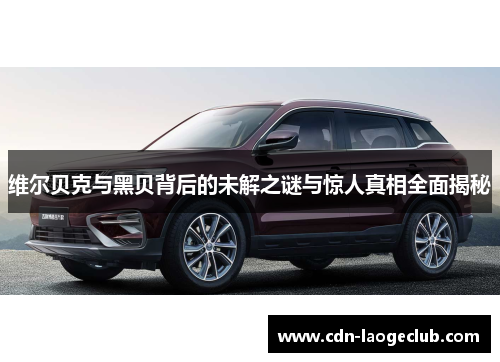 维尔贝克与黑贝背后的未解之谜与惊人真相全面揭秘