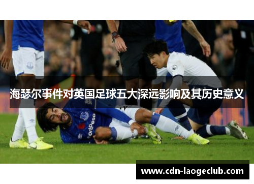 海瑟尔事件对英国足球五大深远影响及其历史意义