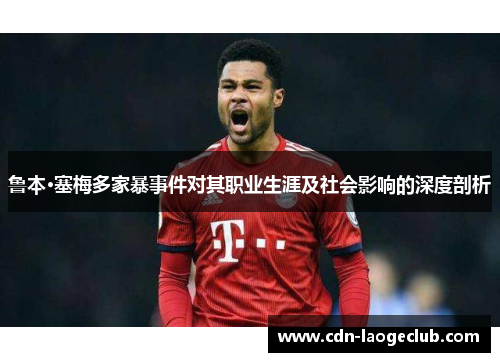 鲁本·塞梅多家暴事件对其职业生涯及社会影响的深度剖析