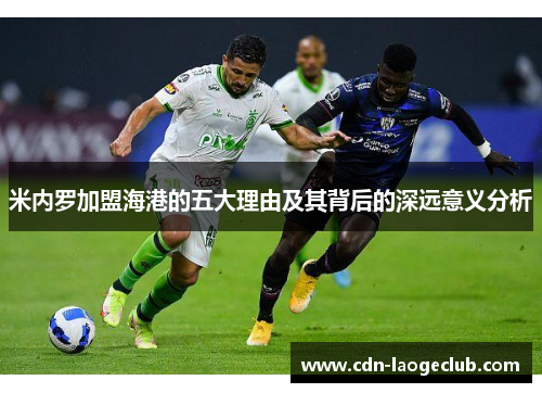 米内罗加盟海港的五大理由及其背后的深远意义分析 米内罗加盟海港的五大理由及其背后的深远意义分析