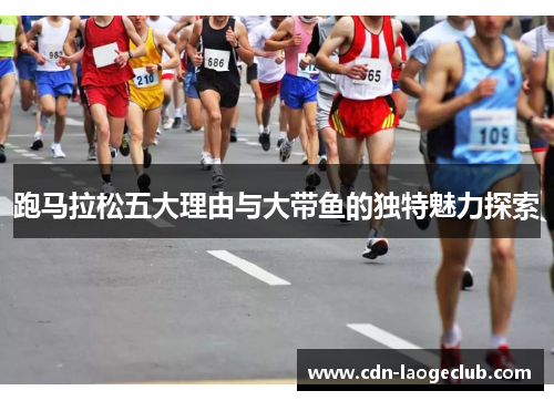 跑马拉松五大理由与大带鱼的独特魅力探索